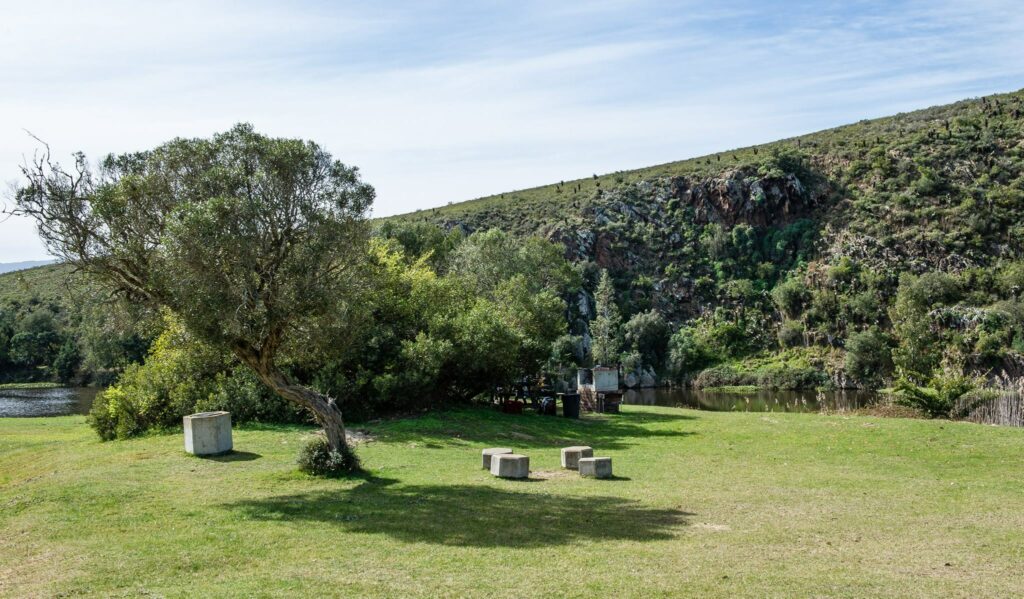 Bontebok national park, swellendam, fishing spots, die stroom, picnic site, nature reserve, fish,