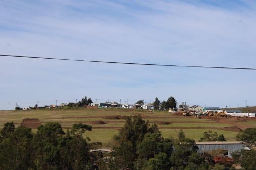 IMG 7774