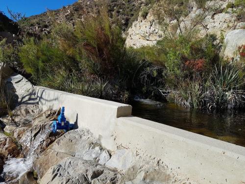 New-Weir